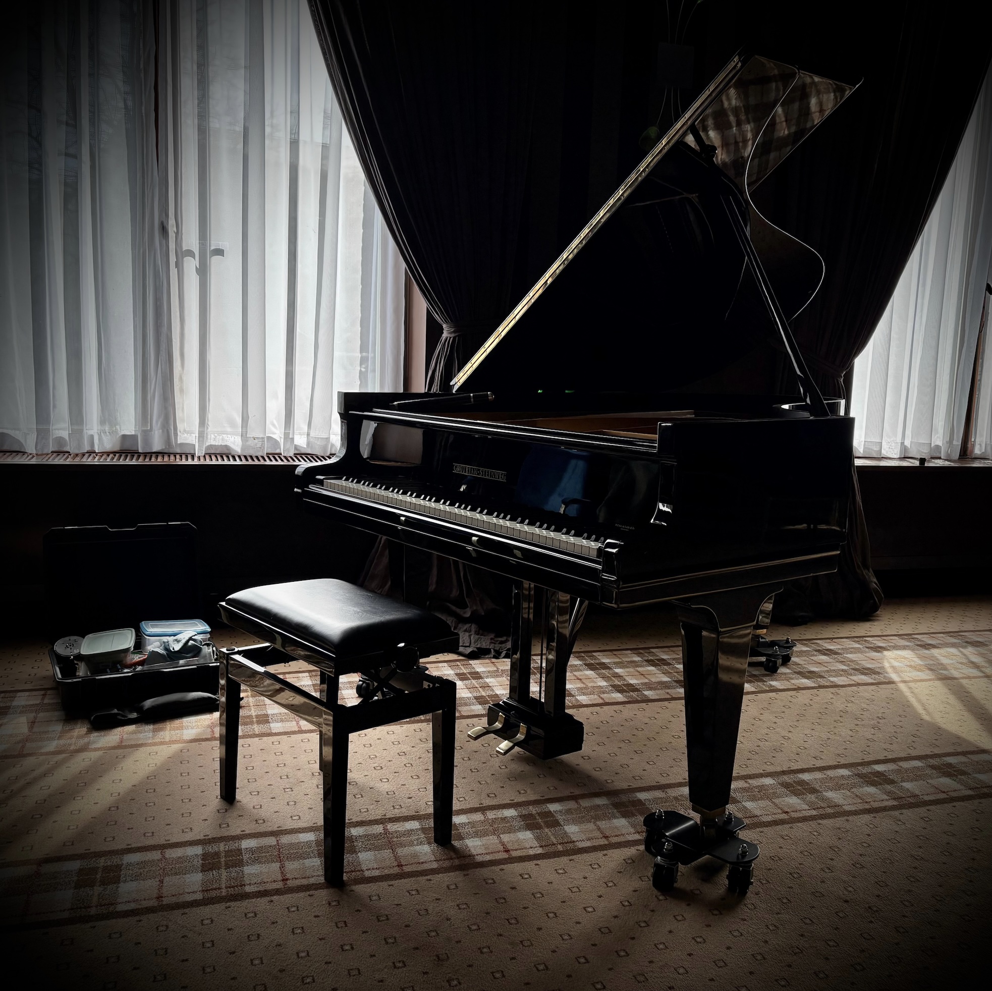 pianostemmer den haag